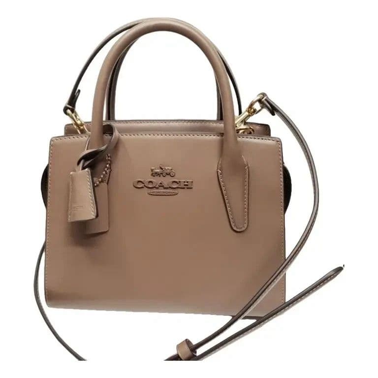 Coach Andrea Carryall — view 3